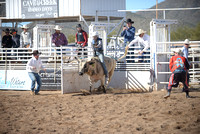 novice bull riding 2-19-22