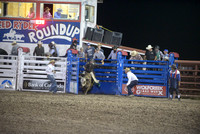 novice bull riding 6-13-24