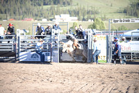 1st open bull and novice jr. bull riding 7-4-24