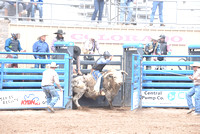 open bull riding 5-12-23