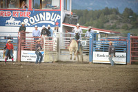 open bull riding 6-22-23