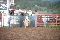 open bull riding 6-1-23