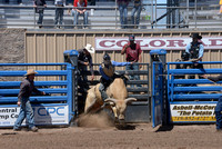 open bull riding 4-29-23
