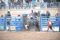 novice bull riding 5-21-22