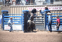 jr bull riding 5-14-22