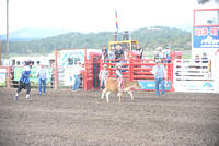 calf riding 6-13-24