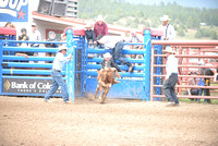 calf riding 7-25-24