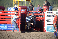 steer riding 6-6-24