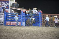 novice bull riding 6-6-24