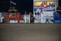 novice bull riding 6-20-24