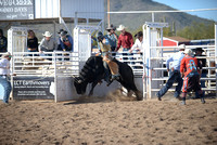 open bull riding 2-19-22