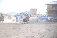 team roping 7-17-24