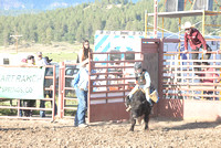 pre show calf & steer riding 7-21-22
