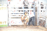 calf and steer riding 7-24-24