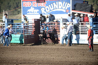 pre show steer riding 6-2-22