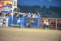 novice bull riding 7-25-24