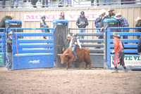 calf riding 5-21-22
