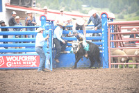 steer riding 7-11-24