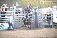 calf and steer riding 6-19-24