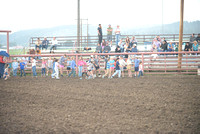 calf scramble 7-11-24