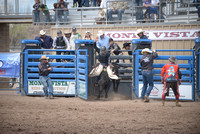 jr bull riding 5-7-22