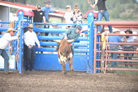 steer riding 6-13-24