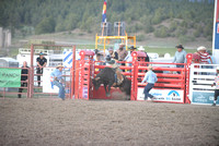 open bull riding 6-6-24