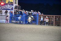 open bull riding 7-25-24