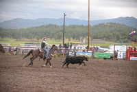 team roping 6-20-24