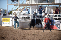 novice bull riding 2-26-22